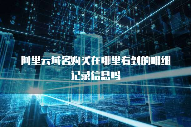 阿里云域名购买在哪里看到的明细记录信息吗