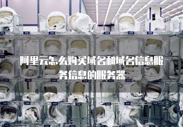 阿里云怎么购买域名和域名信息服务信息的服务器