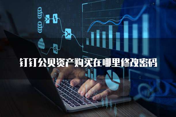 钉钉公贝资产购买在哪里修改密码