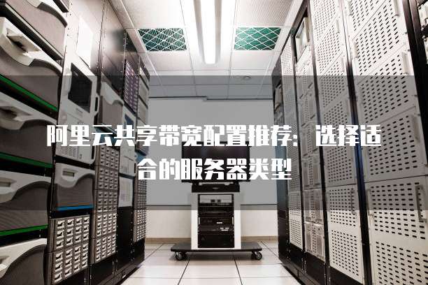阿里云共享带宽配置推荐:选择适合的服务器类型