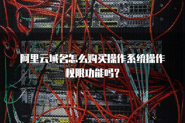 阿里云域名怎么购买操作系统操作权限功能吗?