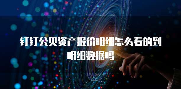 钉钉公贝资产报价明细怎么看的到明细数据吗