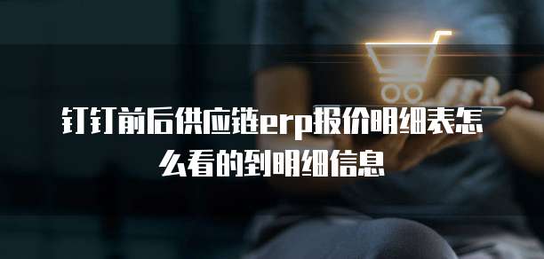 钉钉前后供应链erp报价明细表怎么看的到明细信息