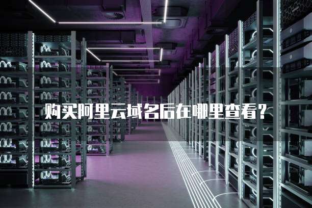 购买阿里云域名后在哪里查看?