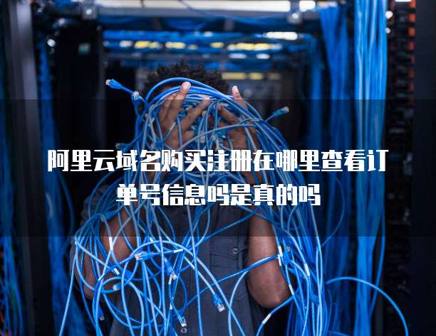 阿里云域名购买注册在哪里查看订单号信息吗是真的吗