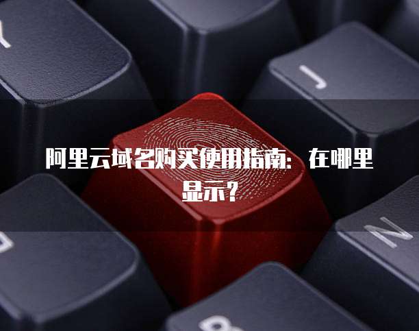 阿里云域名购买使用指南:在哪里显示?