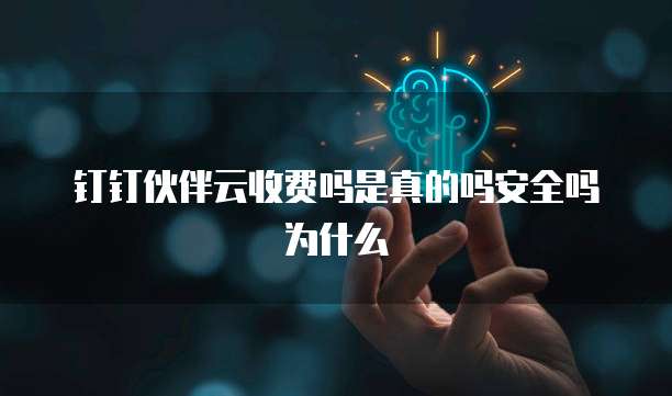 钉钉伙伴云收费吗是真的吗安全吗为什么