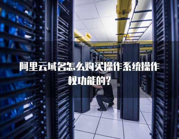 阿里云域名怎么购买操作系统操作权功能的?