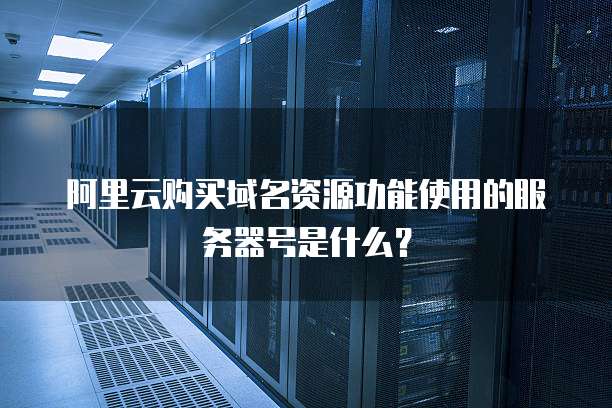 阿里云购买域名资源功能使用的服务器号是什么?