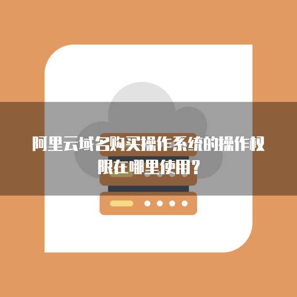 阿里云域名购买操作系统的操作权限在哪里使用?