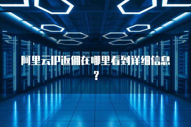 阿里云IP返佣在哪里看到详细信息?