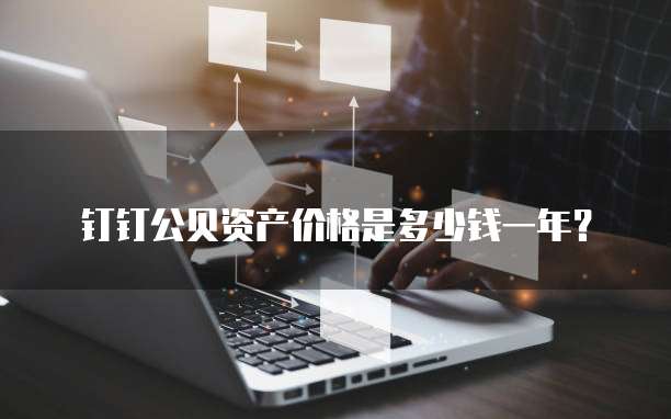 钉钉公贝资产价格是多少钱一年?