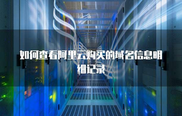 如何查看阿里云购买的域名信息明细记录