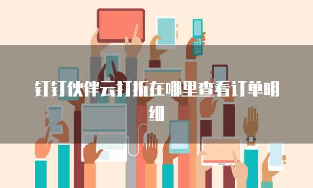 钉钉伙伴云打折在哪里查看订单明细