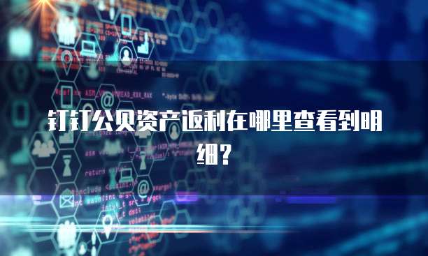钉钉公贝资产返利在哪里查看到明细?