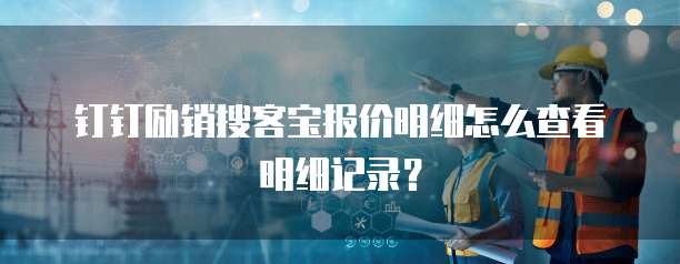 钉钉励销搜客宝报价明细怎么查看明细记录?