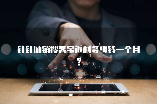钉钉励销搜客宝返利多少钱一个月?