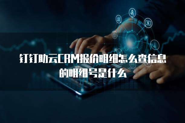 钉钉助云CRM报价明细怎么查信息的明细号是什么