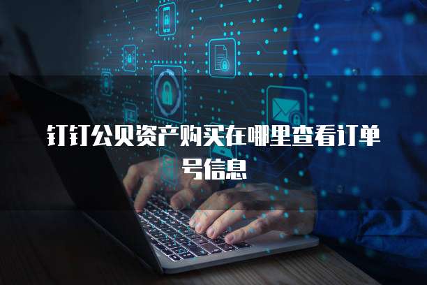 钉钉公贝资产购买在哪里查看订单号信息