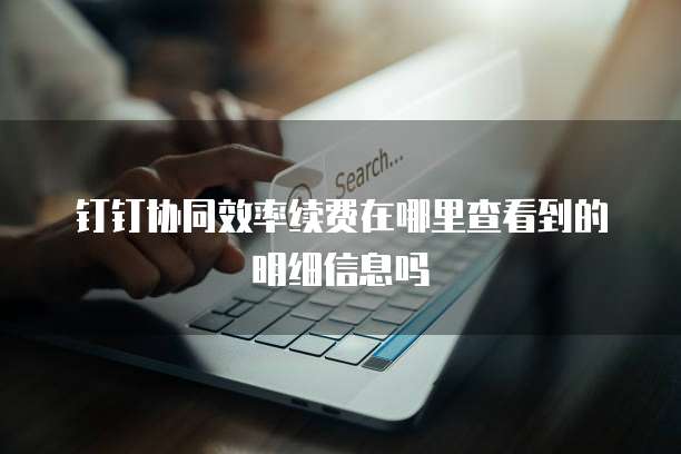 钉钉协同效率续费在哪里查看到的明细信息吗