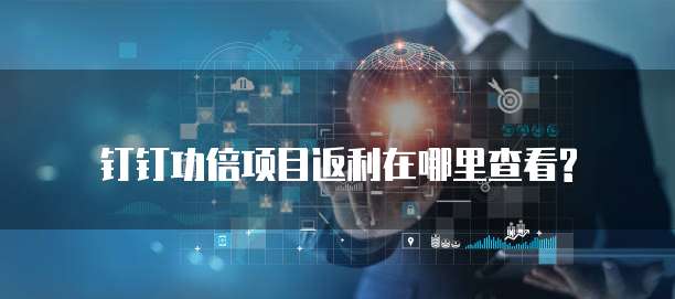 钉钉功倍项目返利在哪里查看?