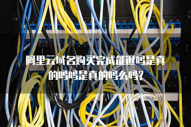 阿里云域名购买完成能退吗是真的吗吗是真的吗么吗?