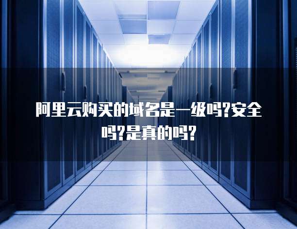 阿里云购买的域名是一级吗?安全吗?是真的吗?
