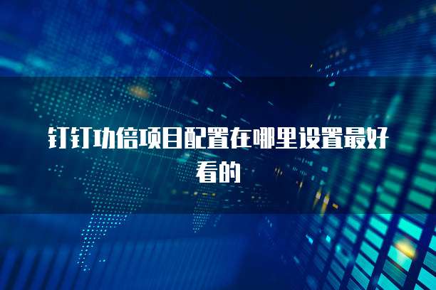 钉钉功倍项目配置在哪里设置最好看的