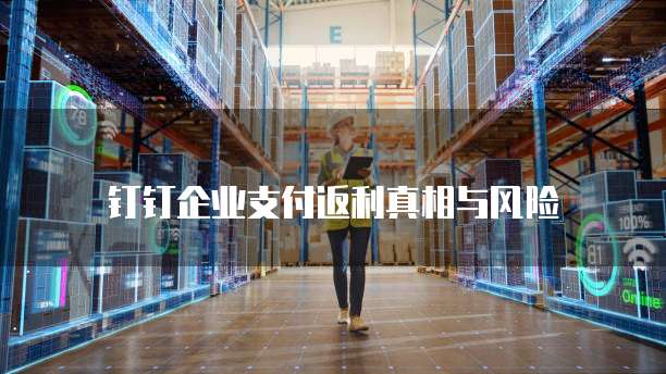 钉钉企业支付返利真相与风险