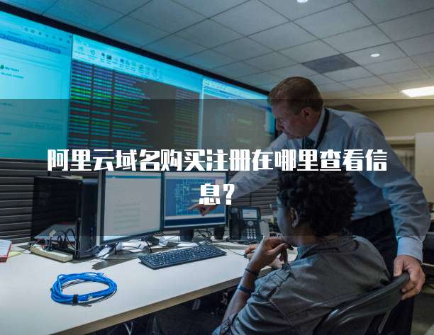 阿里云域名购买注册在哪里查看信息?