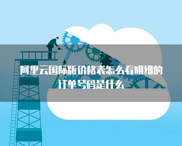 阿里云国际版价格表怎么看明细的订单号码是什么