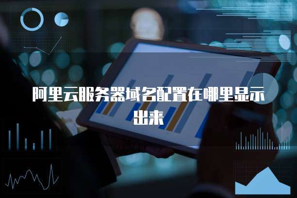 阿里云服务器域名配置在哪里显示出来
