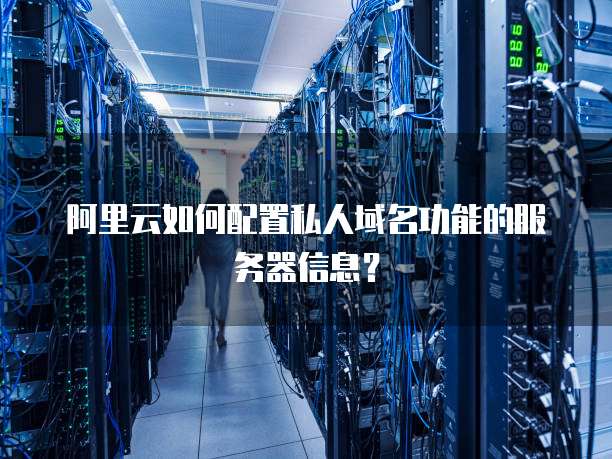 阿里云如何配置私人域名功能的服务器信息?