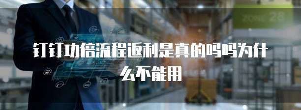 钉钉功倍流程返利是真的吗吗为什么不能用