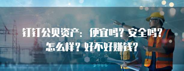 钉钉公贝资产:便宜吗?安全吗?怎么样?好不好赚钱?
