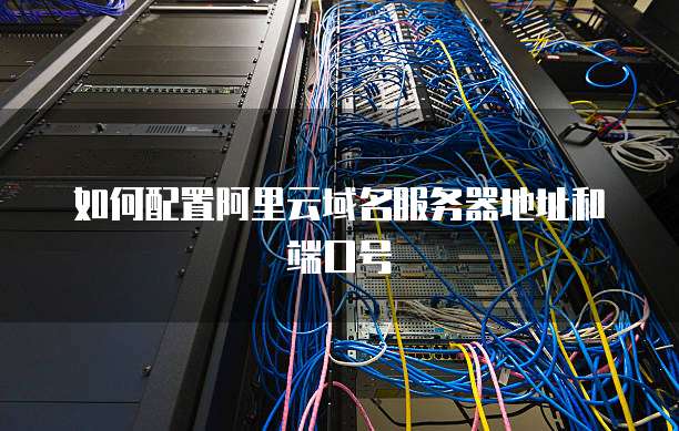 如何配置阿里云域名服务器地址和端口号