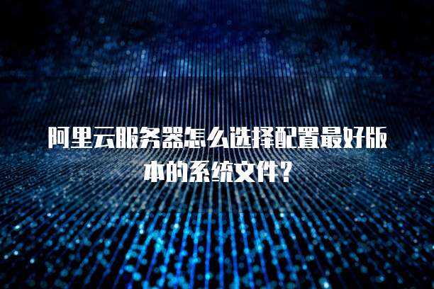 阿里云服务器怎么选择配置最好版本的系统文件?