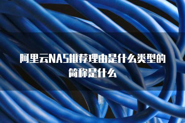 阿里云NAS推荐理由是什么类型的简称是什么
