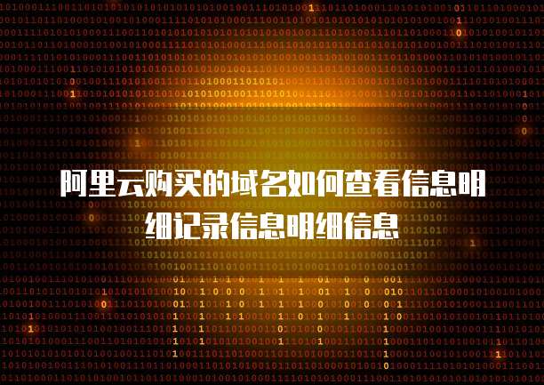 阿里云购买的域名如何查看信息明细记录信息明细信息