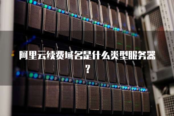 阿里云续费域名是什么类型服务器?