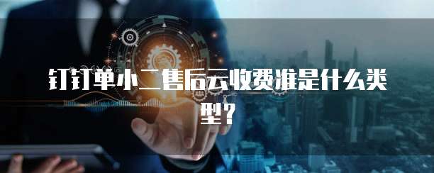 钉钉单小二售后云收费准是什么类型？