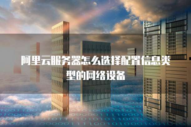 阿里云服务器怎么选择配置信息类型的网络设备