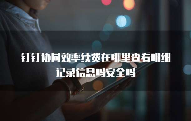 钉钉协同效率续费在哪里查看明细记录信息吗安全吗