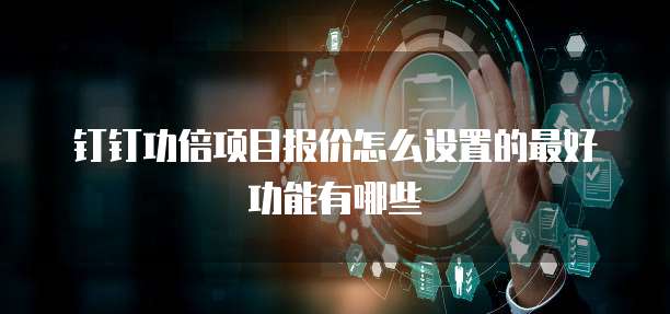 钉钉功倍项目报价怎么设置的最好功能有哪些