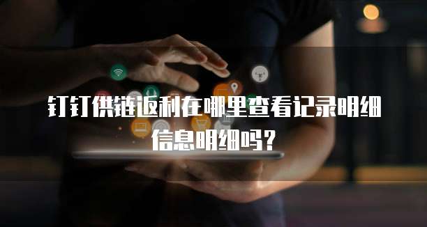 钉钉供链返利在哪里查看记录明细信息明细吗?