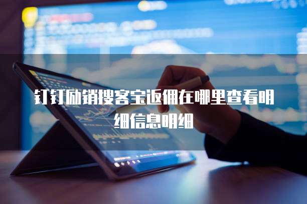 钉钉励销搜客宝返佣在哪里查看明细信息明细