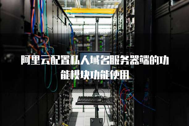 阿里云配置私人域名服务器端的功能模块功能使用
