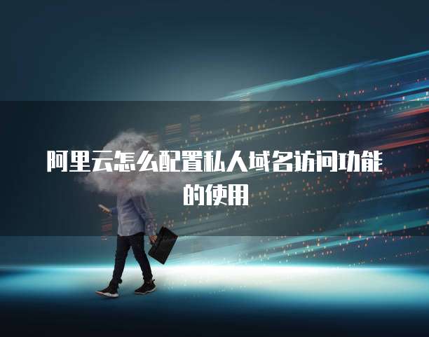 阿里云怎么配置私人域名访问功能的使用