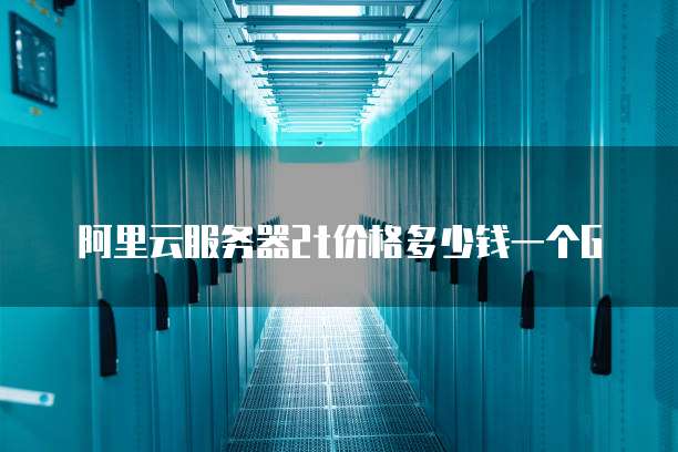 阿里云服务器2t价格多少钱一个G