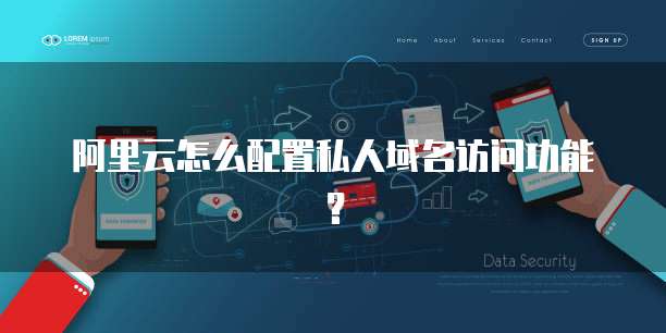 阿里云怎么配置私人域名访问功能？